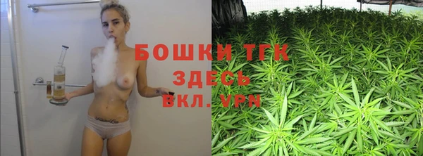 дживик Майский