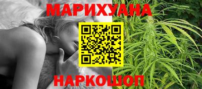 сатива Беслан