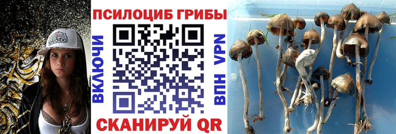 Галлюциногенные грибы мухоморы купить наркоту Долгопрудный