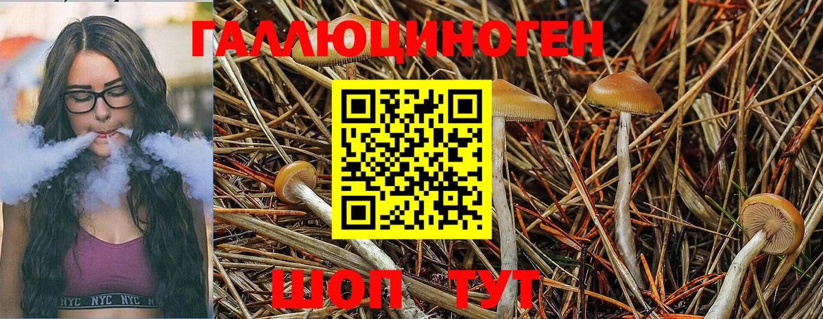 Псилоцибиновые грибы прущие грибы Долгопрудный