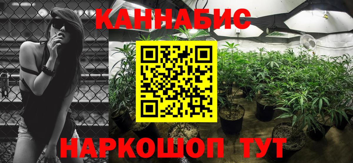 Долгопрудный  Марихуана White Widow  Бошки марихуана White Widow  Вход с VPN  Канабис White Widow 
